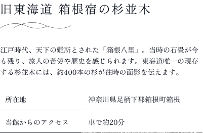 旧東海道 箱根宿の杉並木