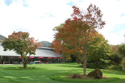 箱根ラリック美術館