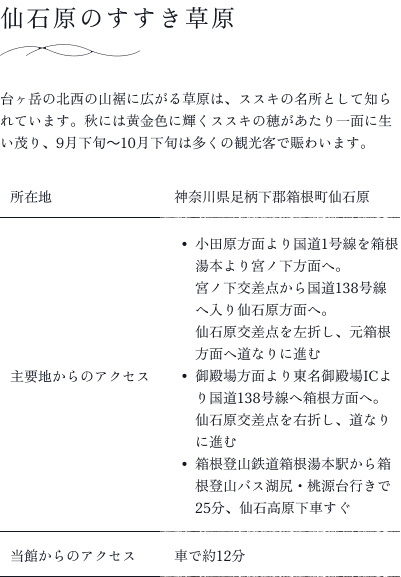 仙石原のすすき草原