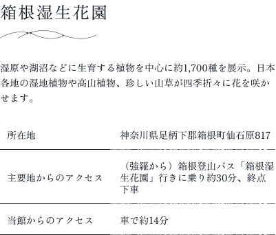 箱根湿生花園