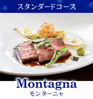 スタンダードコース
